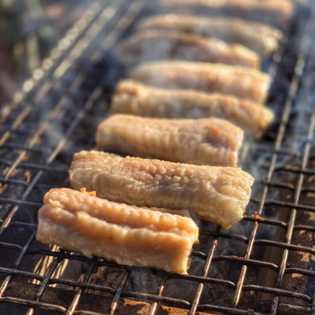 Wie gesund ist Aal-Fleisch?