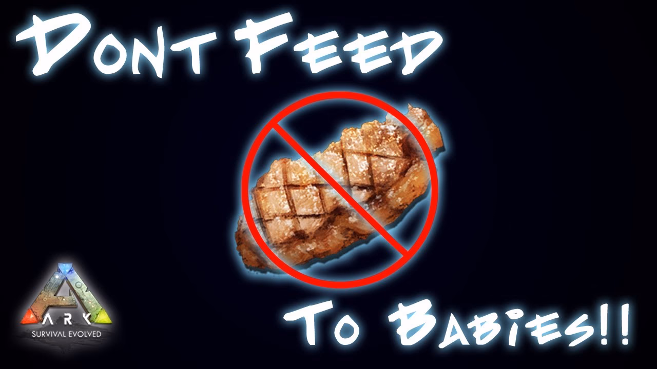 Should I cook meat for my Baby?