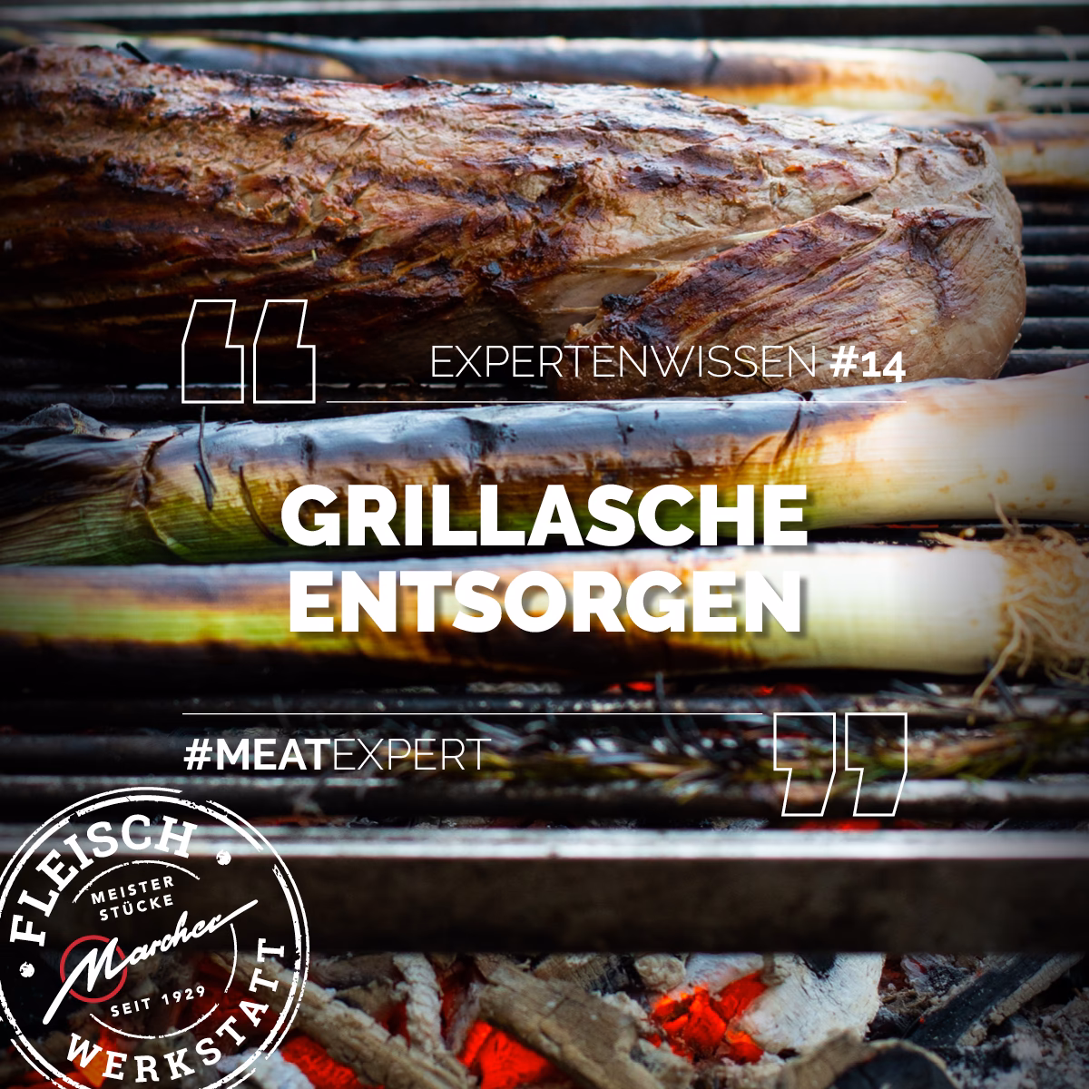 Ist Asche schädlich für den Garten?