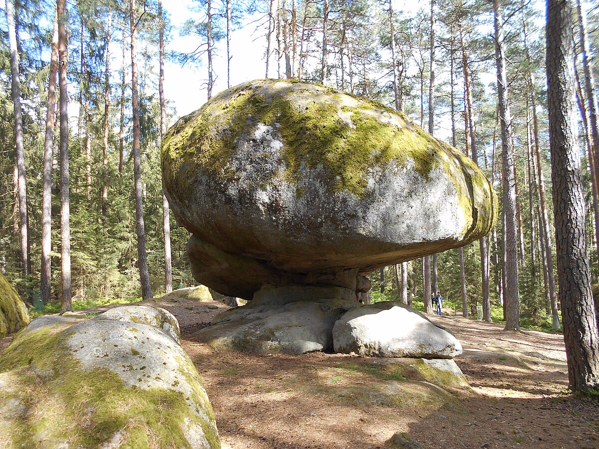Was kann man im Naturpark Blockheide machen?