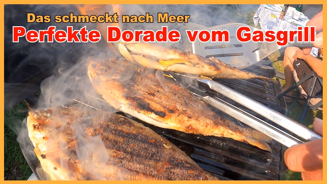 Welche Arten von Dorade gibt es?