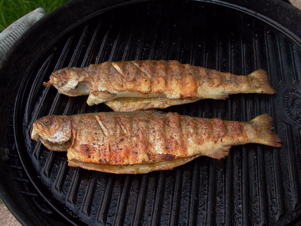 Was ist eine Grillplatte?