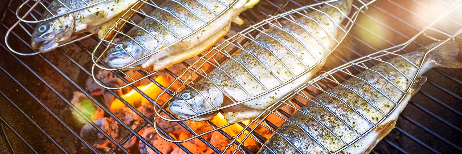 Kann man Fisch mit Gewürz Würzen?