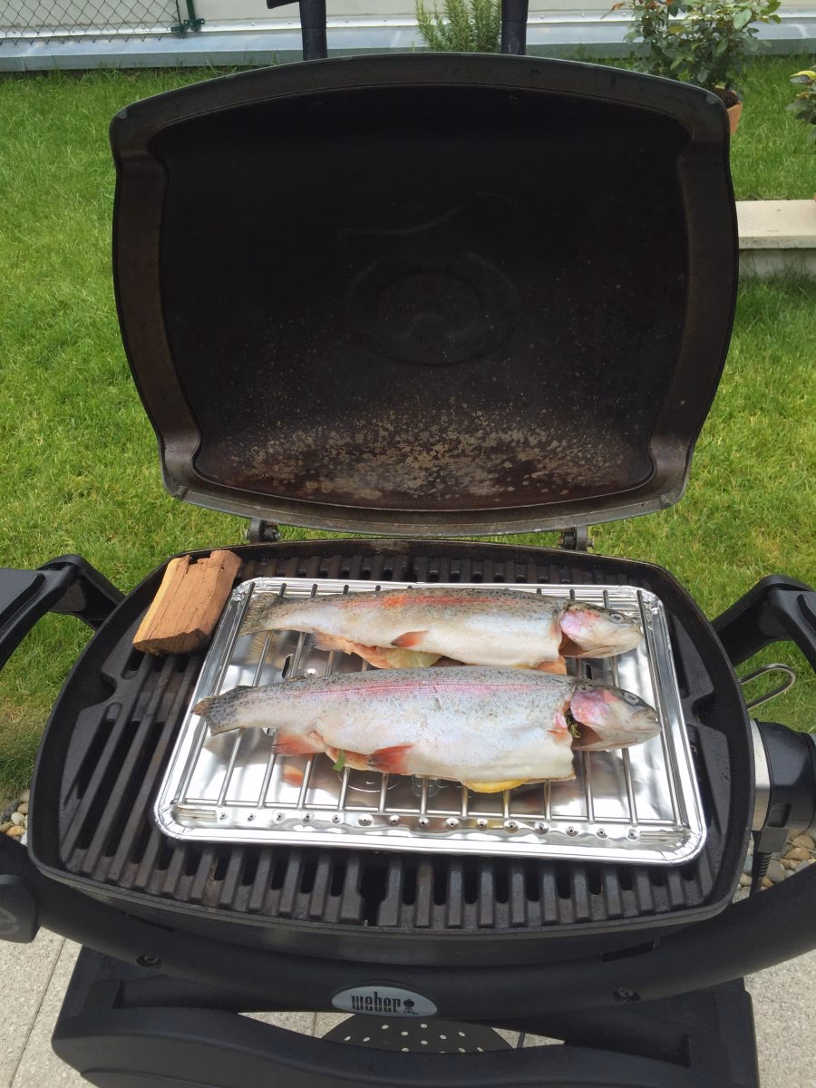 Welche Fische darf man auf dem Grill Grillen?