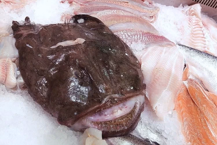 Welche Arten von Fisch gibt es ohne Gräten?