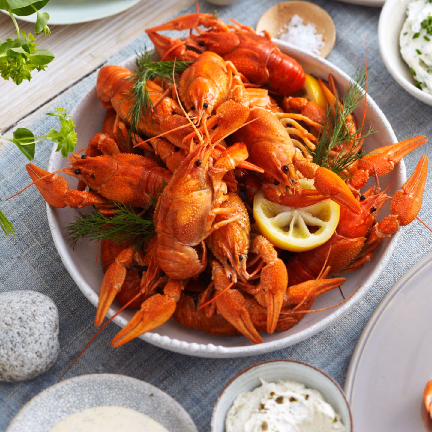 Was ist das besondere an den Scheren des Signalkrebses?