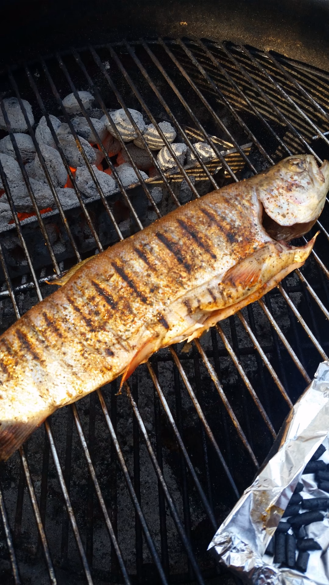 Kann man Forellen in einem Kugelgrill Räuchern?