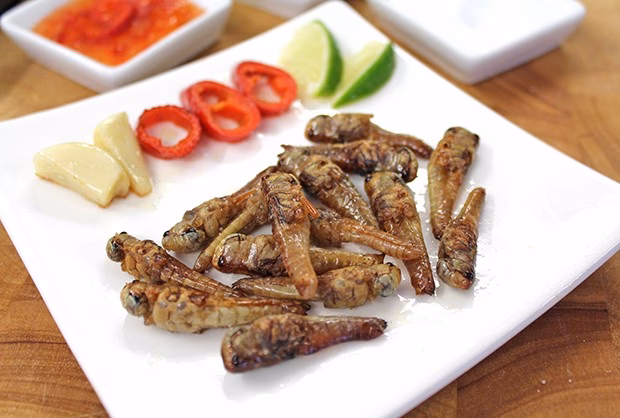 Was kann man frittieren?