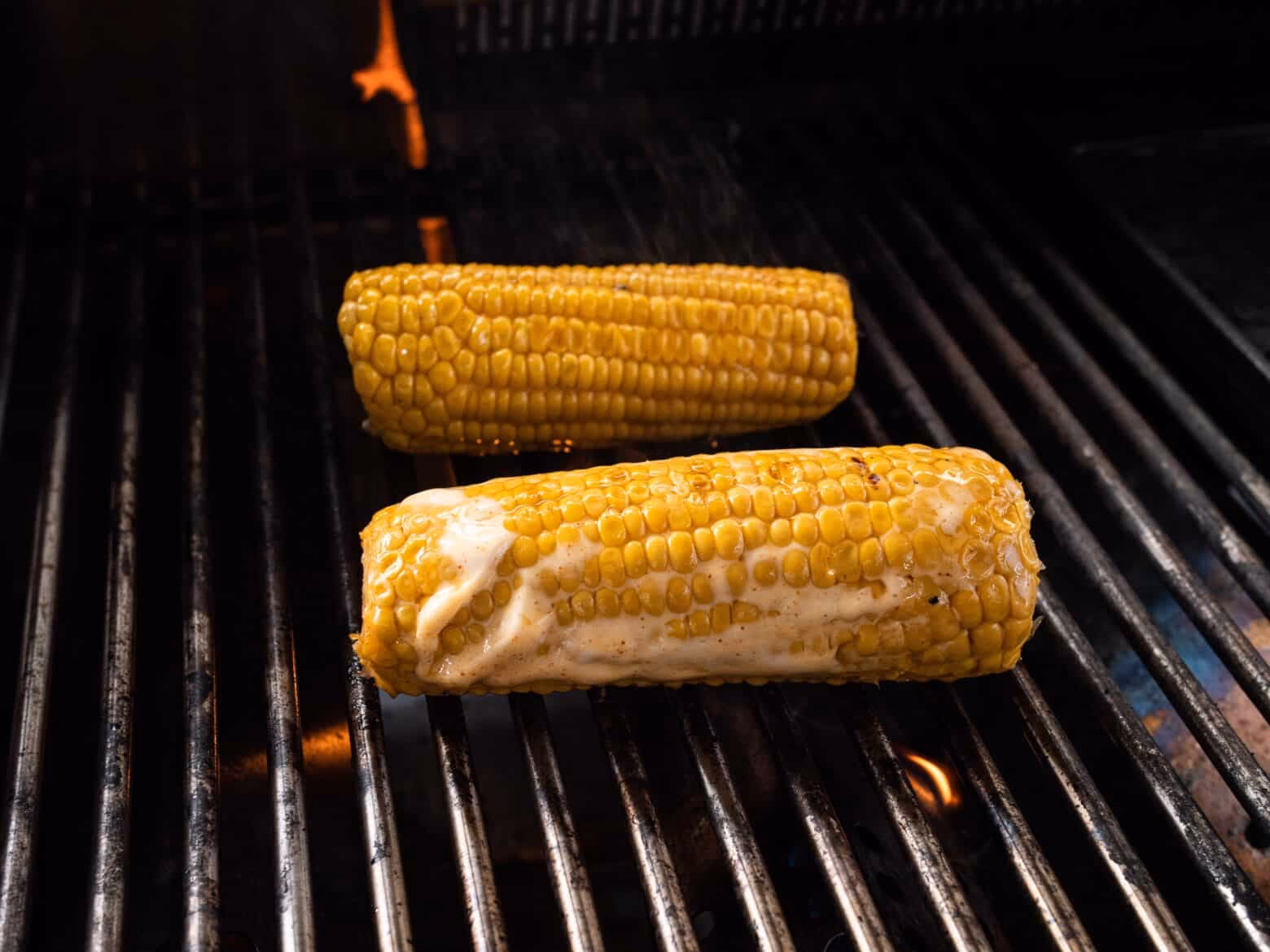 Was ist der Unterschied zwischen Futtermais und Zuckermais?