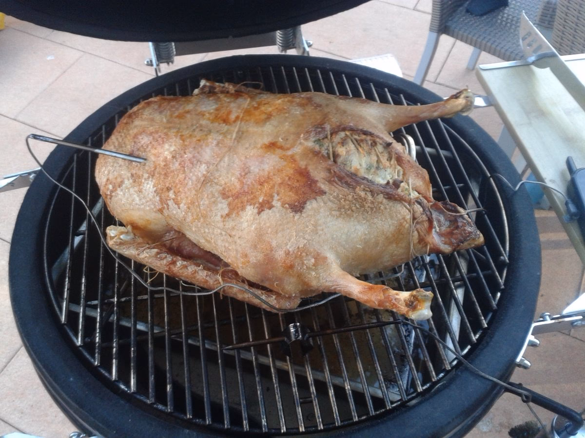 Wie oft sollte man die Gans Gießen?