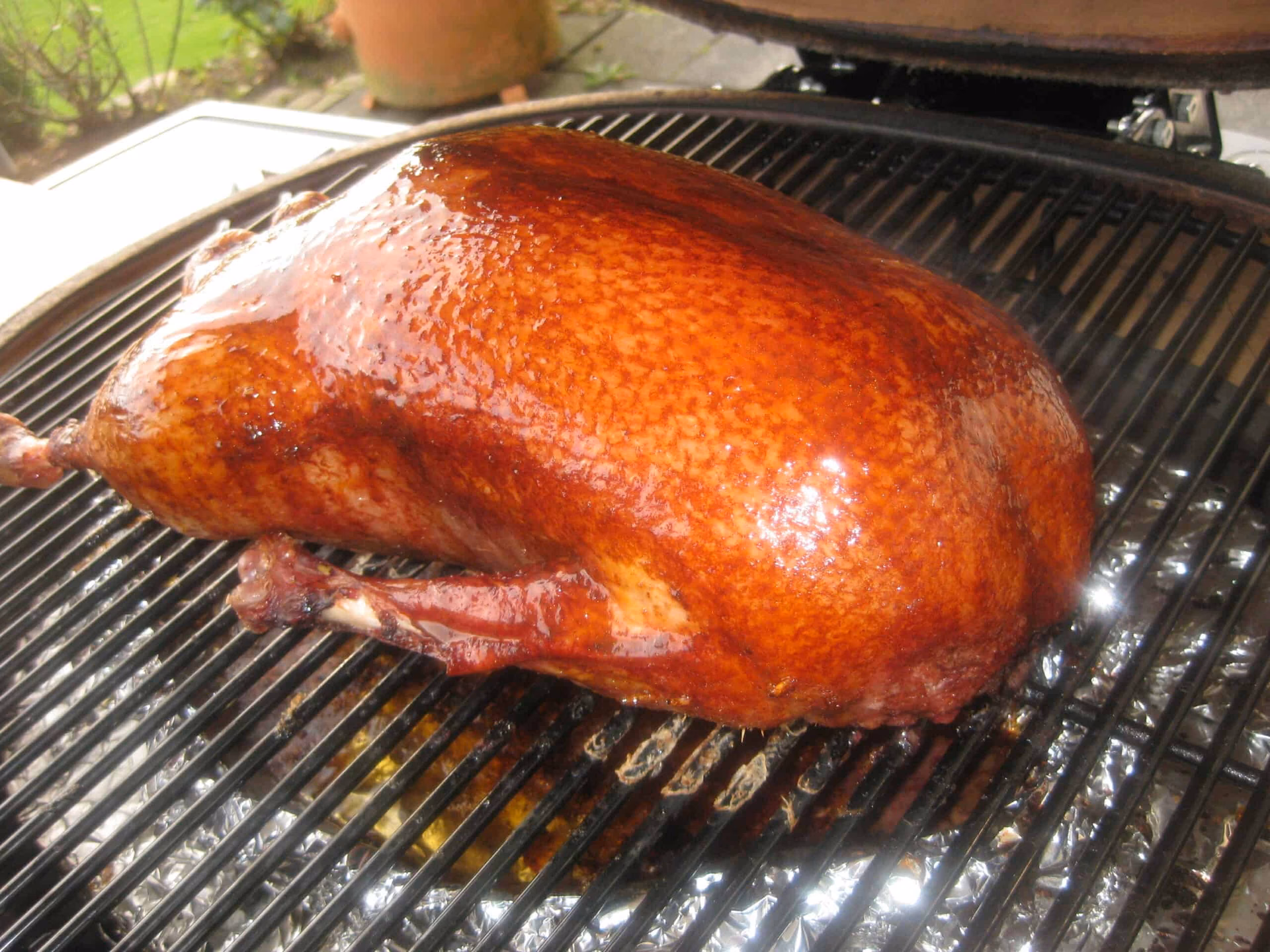 Wie bereite ich Gans zu?