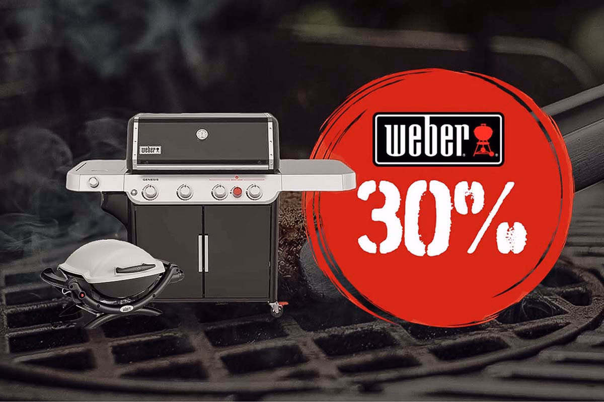 Was muss ich beim Kauf eines Grills beachten?