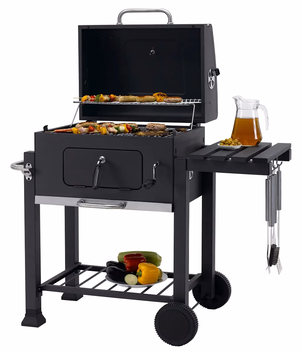 Was ist die Globus-App?