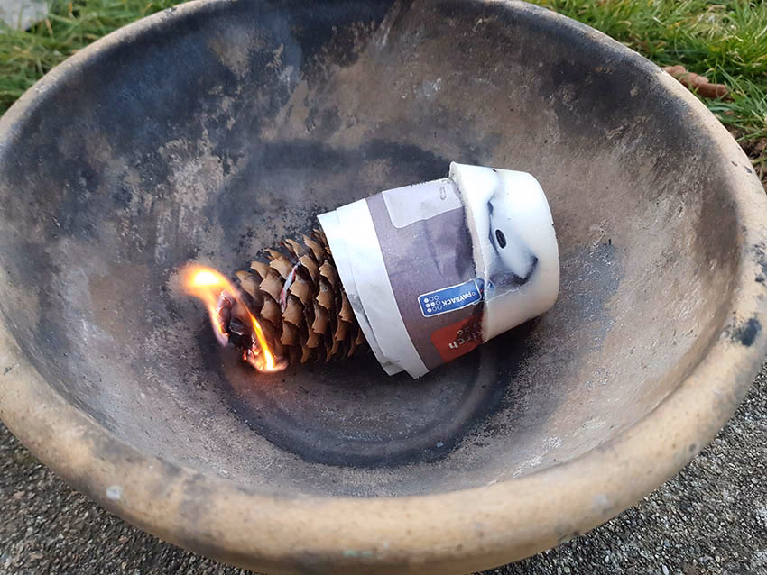 Wie verwende ich einen Tannenzapfen?