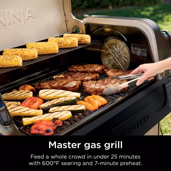 Was ist der Unterschied zwischen einem Grill und einem herkömmlichen Grill?