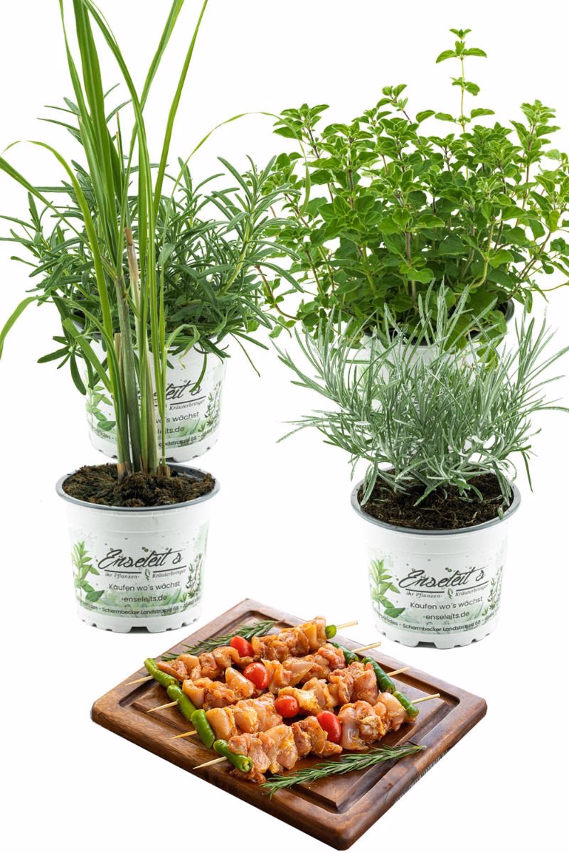Welche Kräuter eignen sich für den Grill?