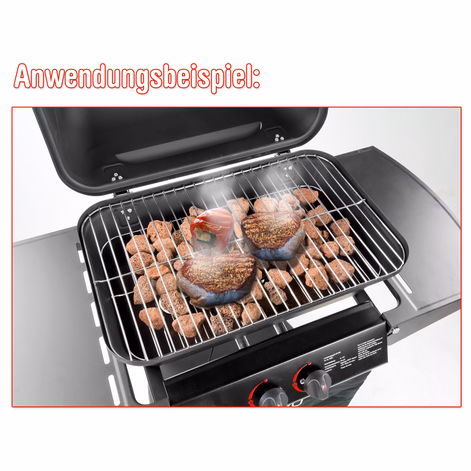 Welche Steine eignen sich für das Aquarium?