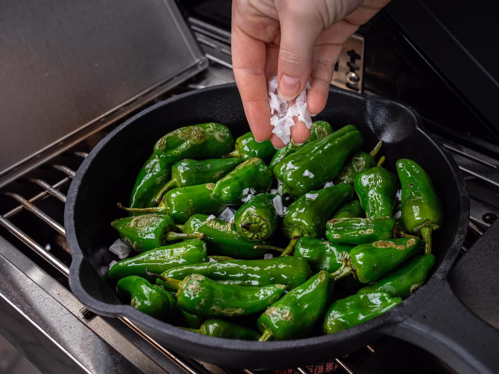 Was ist eine grüne Paprika?