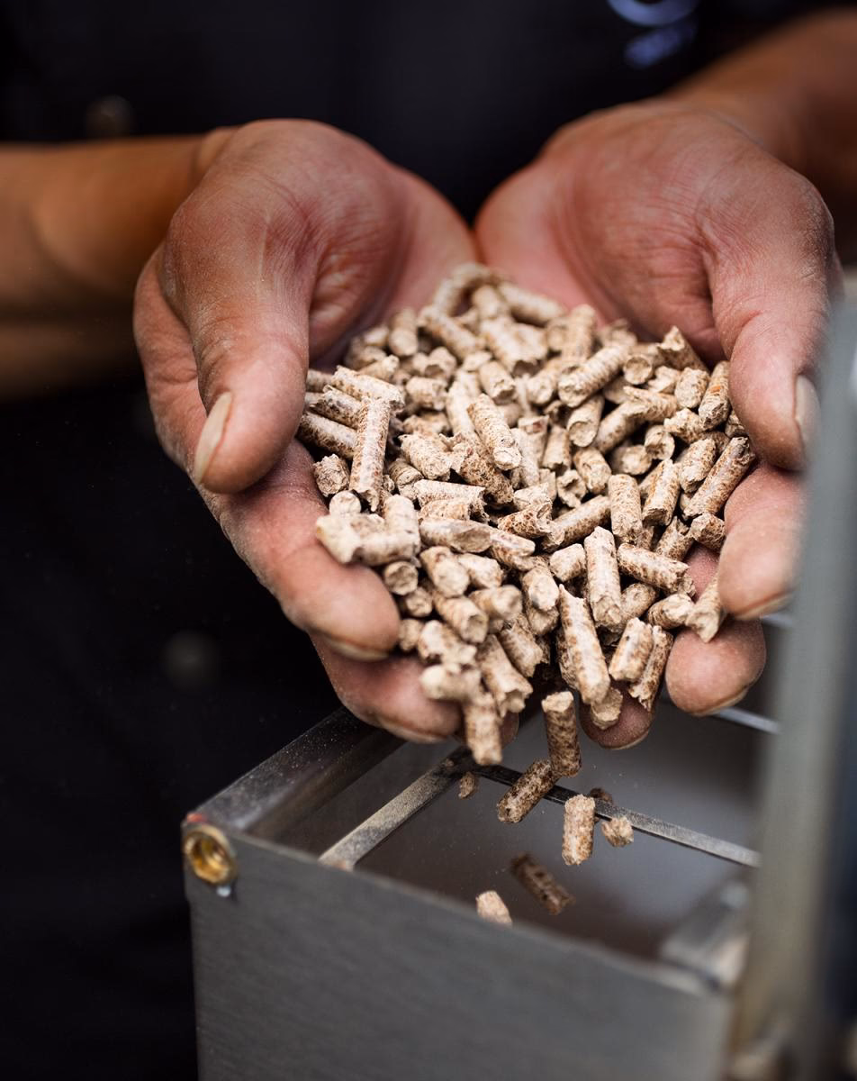 Wie viel kostet eine Tonne Pellets?
