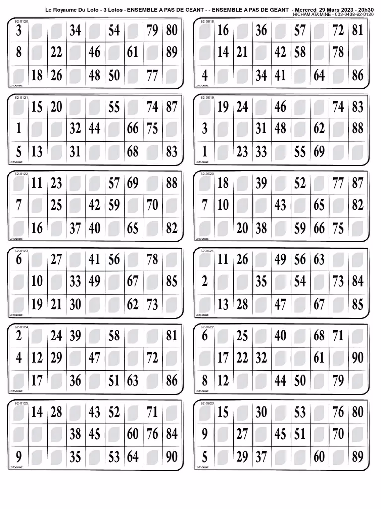 Qu'est-ce que Magic Loto ?