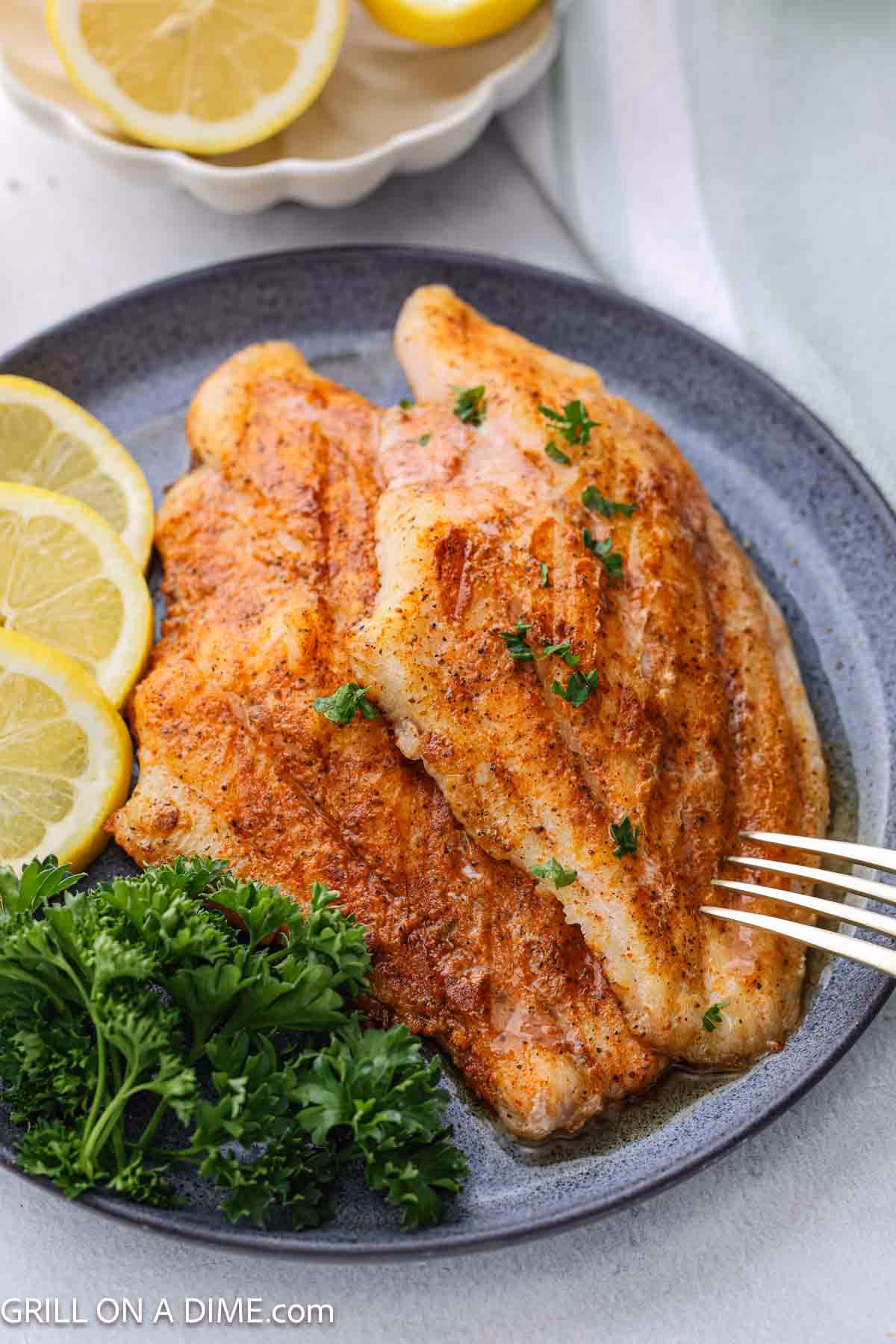 Should catfish fillets be grilled before grilling?