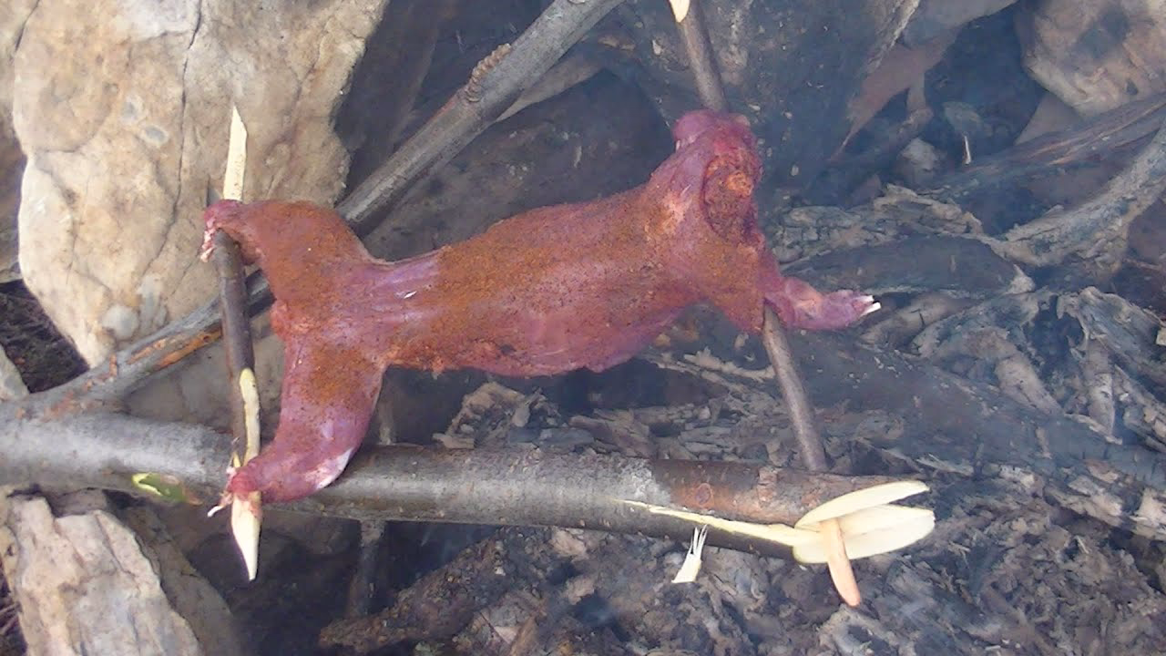 How do you cook squirrels in a crock pot?
