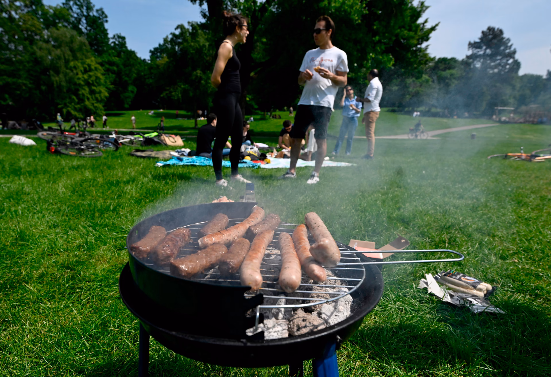 Was ist ein Maulwurfsgrillen?