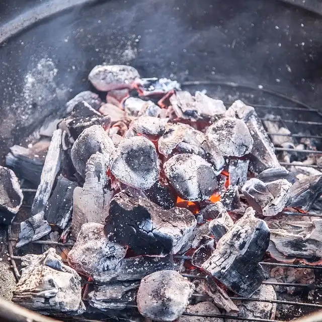 Was ist der Unterschied zwischen Grillkohle und Brikett?