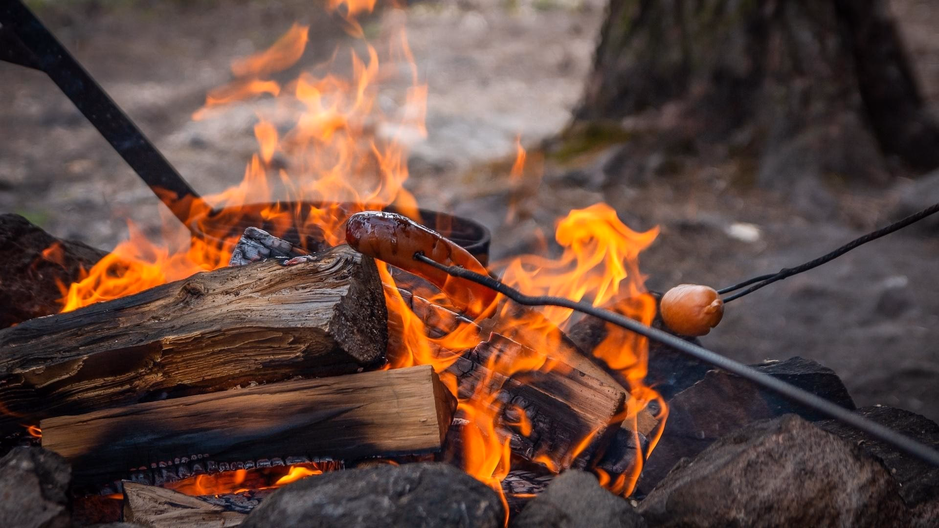 Wie melde ich mich beim Grillplatz an?