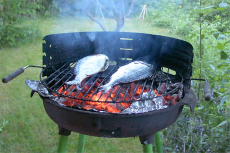 Wie lange dauert das Grillen mit dem Kohlegrill?