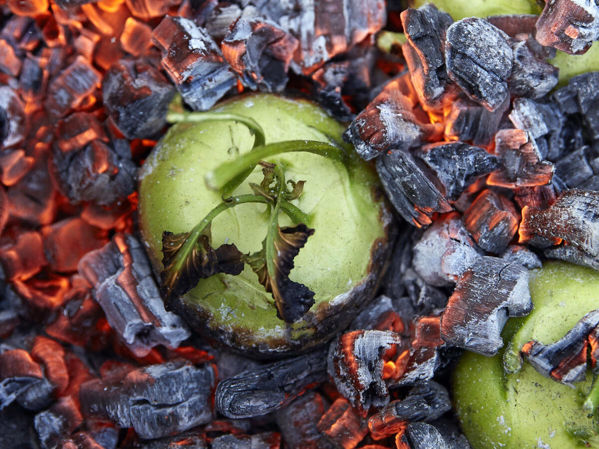 Welche Kräuter eignen sich für Kohlrabi?