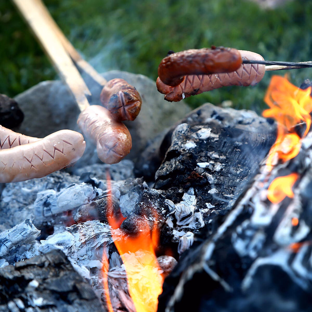 Wie kocht man frische Knacker?