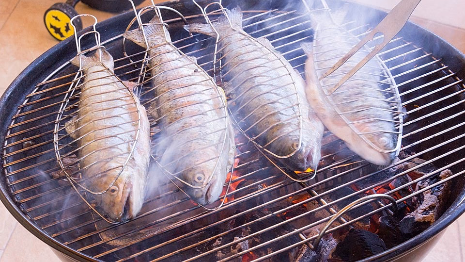 Welche Beilagen eignen sich für Lachsforelle?