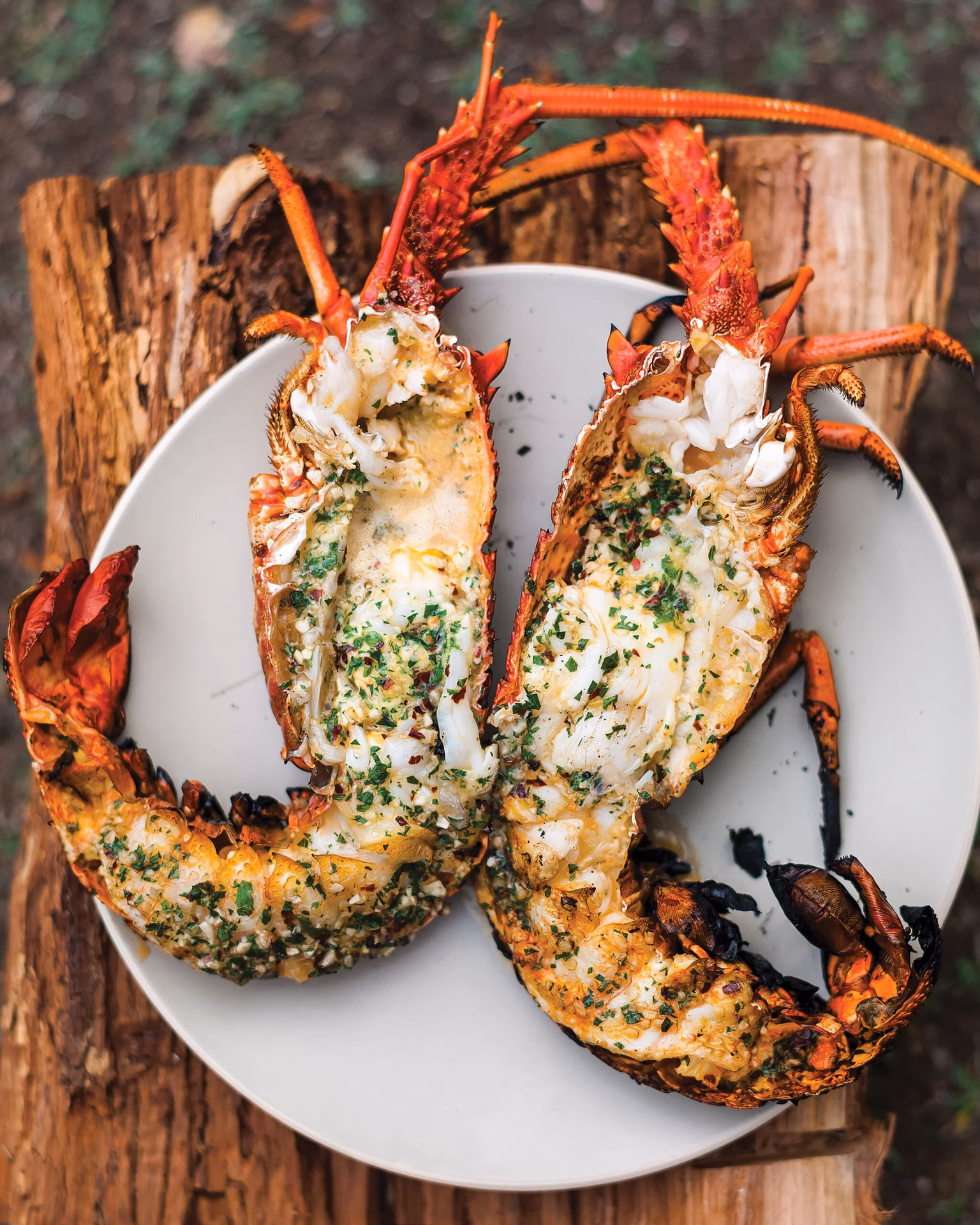 What is Lobsterville bar & grille?