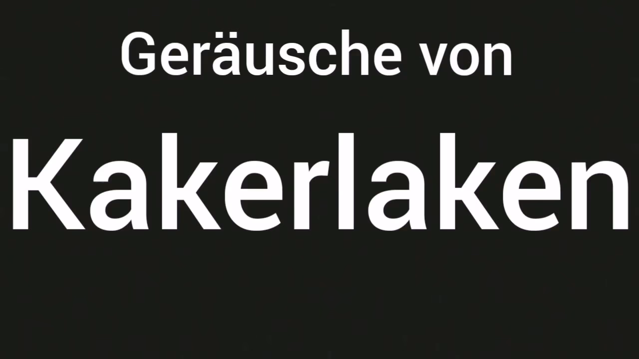 Wie erzeugen Zikaden ihre Geräusche?