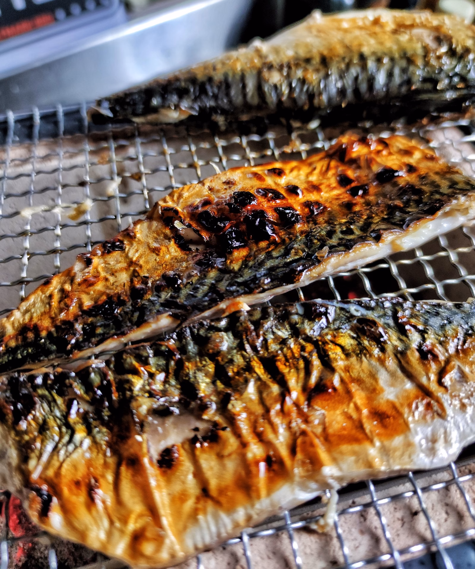 Wie bereite ich Makrelen auf einen Smoker vor?