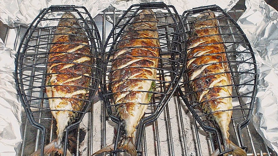 Kann man Makrele auf dem Grill zubereiten?