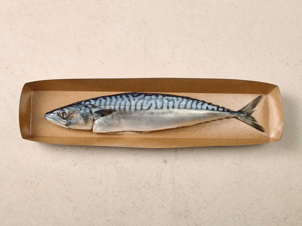 Wie bereite ich Makrele zu?