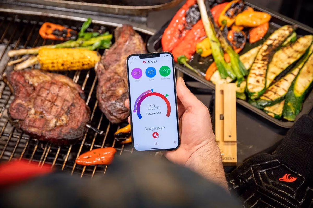 Was ist das beste Funkthermometer?