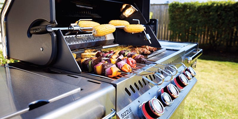 Was macht Napoleon so besonders?