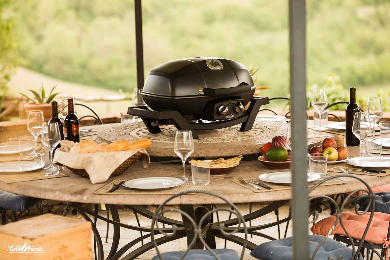 Was ist der Unterschied zwischen einem Napoleon Grill und einem Triumph Grill?