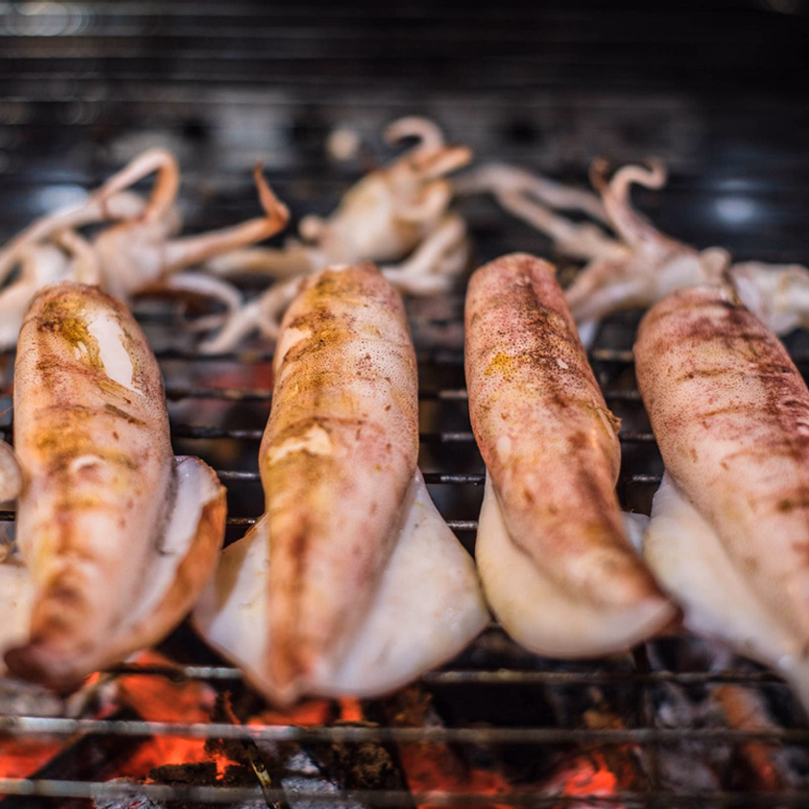 Wie frittiert man Tintenfische?