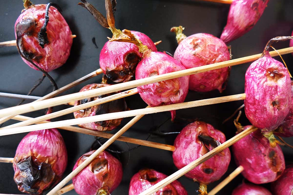 Wie kann man Radieschen Zerkleinern?