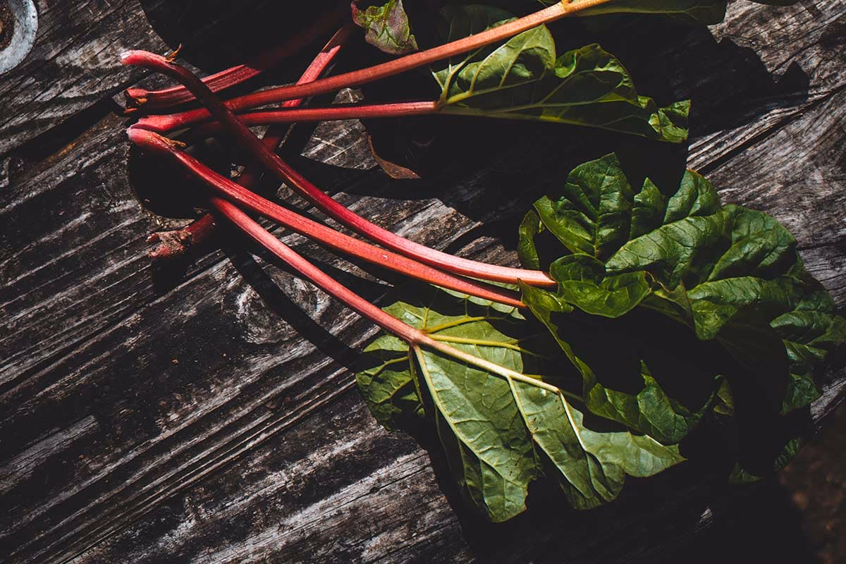 Was kann man aus Rhabarber machen?