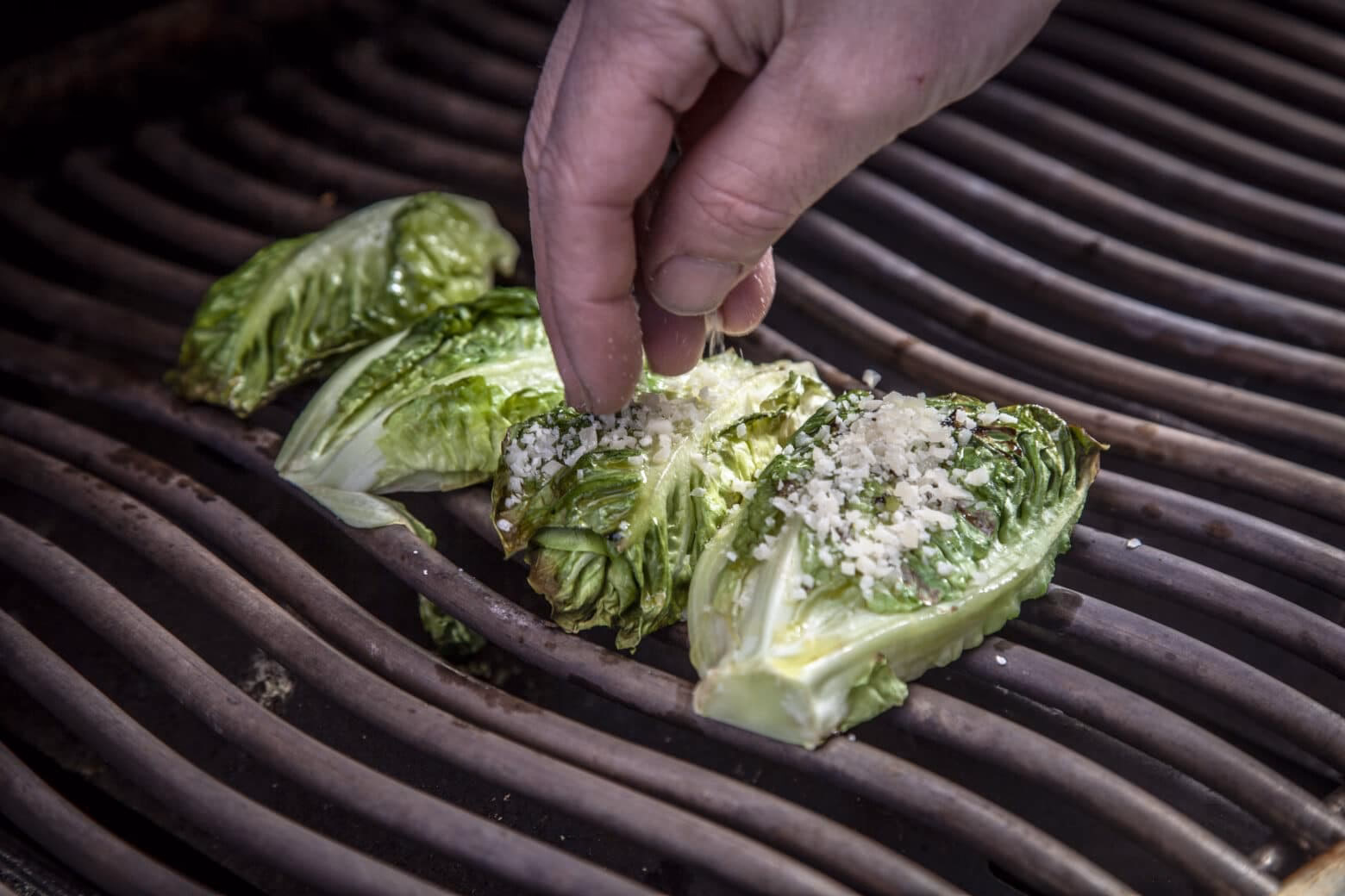 Welche Arten von Salat gibt es?