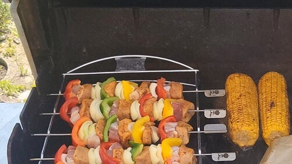 Welche Alternativen gibt es zum Grillen?