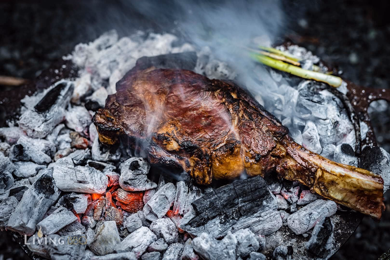Welches Steak ist am besten gegrillt?