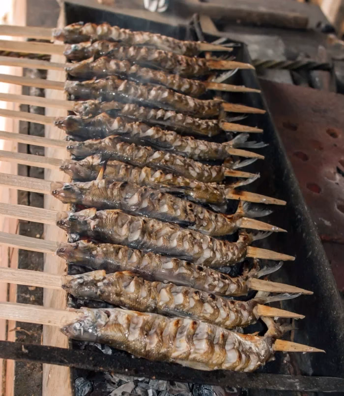 Ist Grillen gesundheitsschädlich?