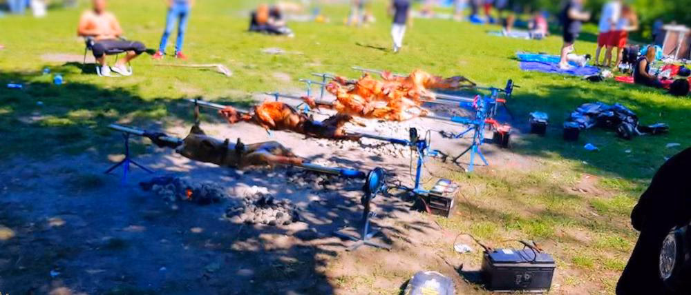 Wie geht es weiter mit dem Grillen in Lichtenberg?