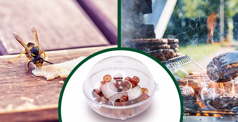 Wie kann man Wespen vertreiben?